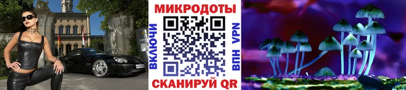 Псилоцибиновые грибы Magic Shrooms  Подольск 