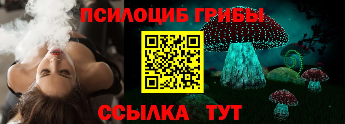 Псилоцибиновые грибы Psilocybine cubensis Подольск